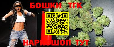 индика Пугачёв