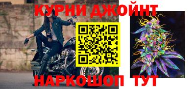 индика Пугачёв