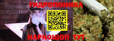 индика Пугачёв