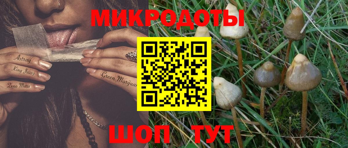 Галлюциногенные грибы MAGIC MUSHROOMS Ростов-на-Дону